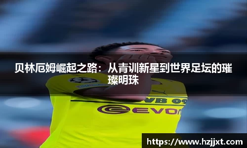 必一运动B-Sports